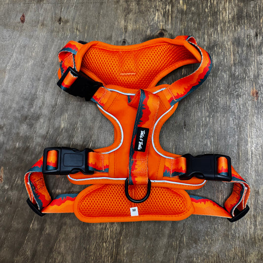 Sahara Adventure Harness