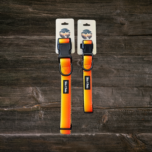 Sunset Trail Collar