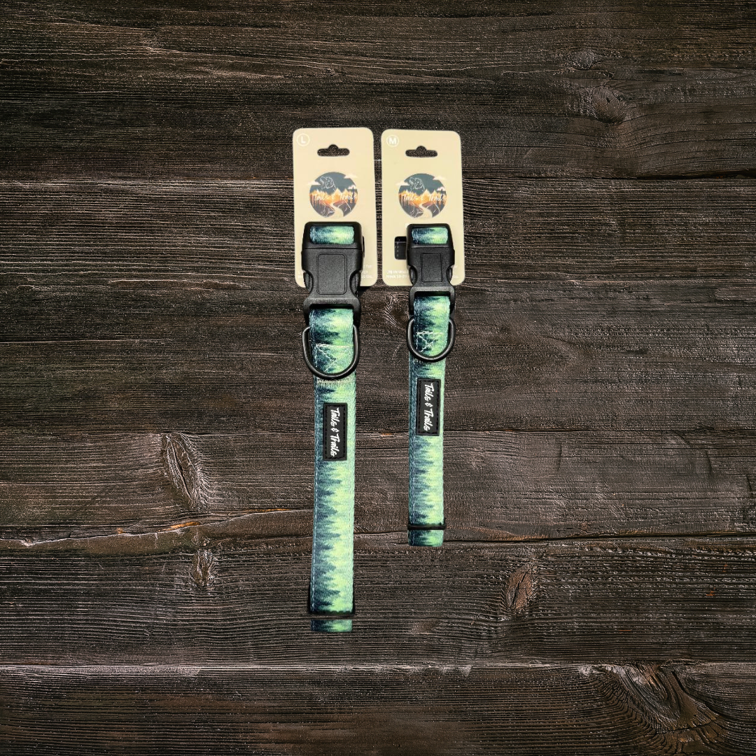 Forrest Trail Collar