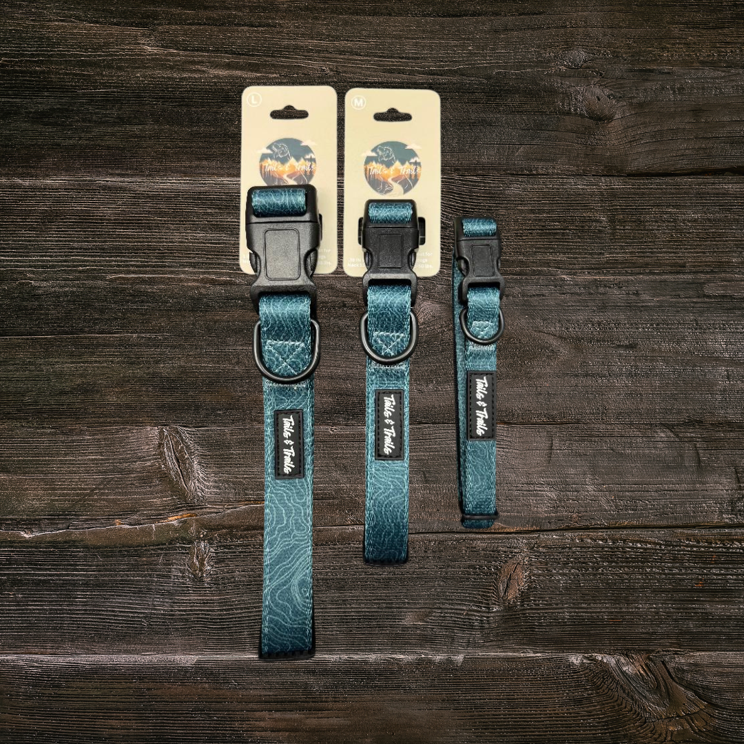 Evergreen Trail Collar