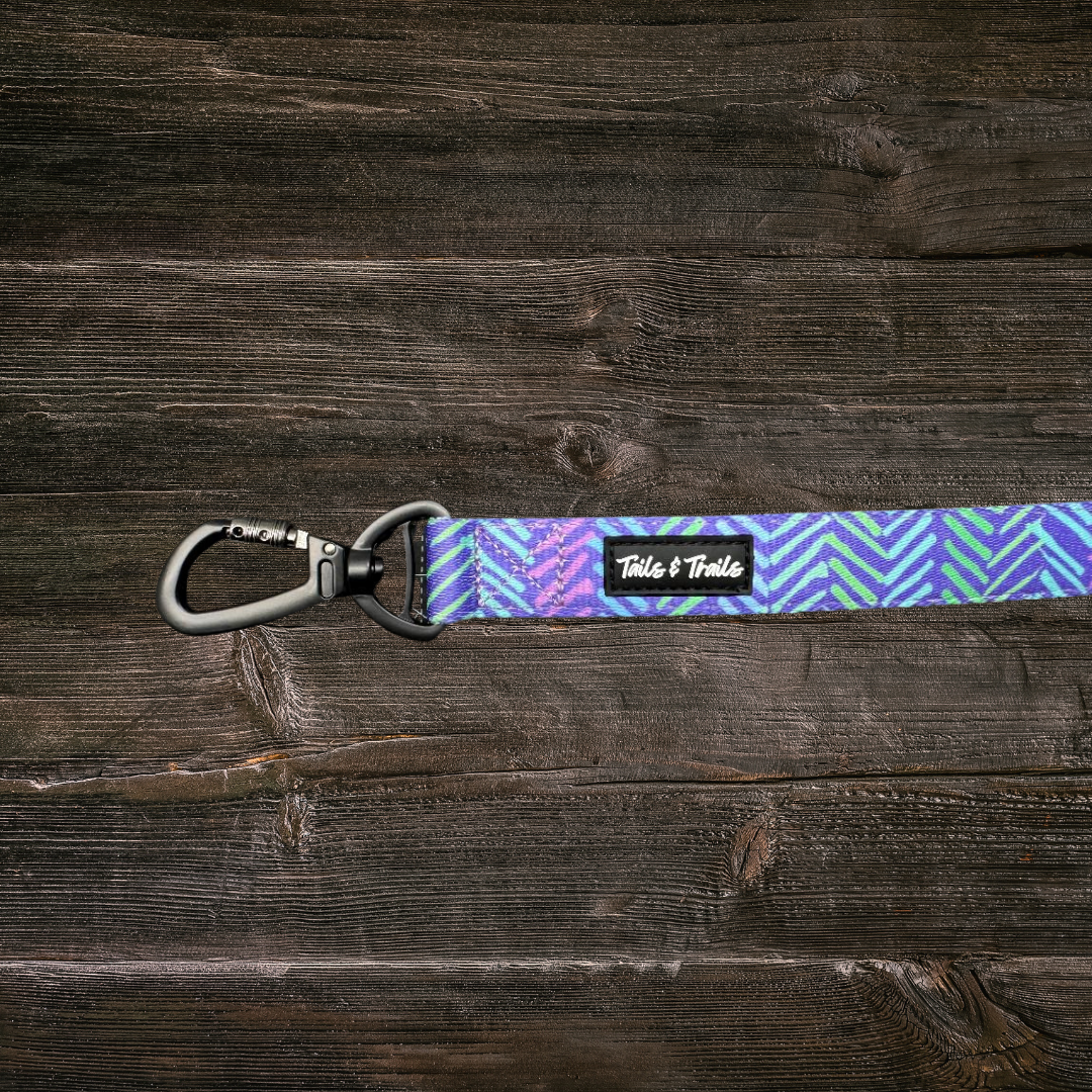 Double Handle New Moon Trail Leash