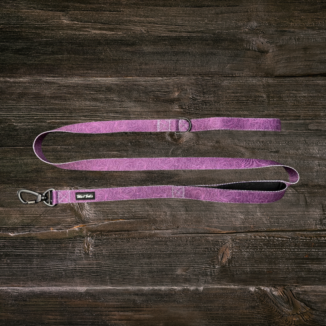 Double Handle Elderberry Trail Leash