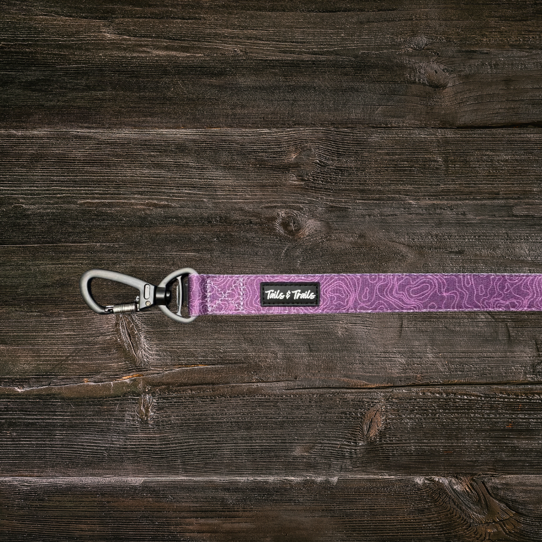 Double Handle Elderberry Trail Leash