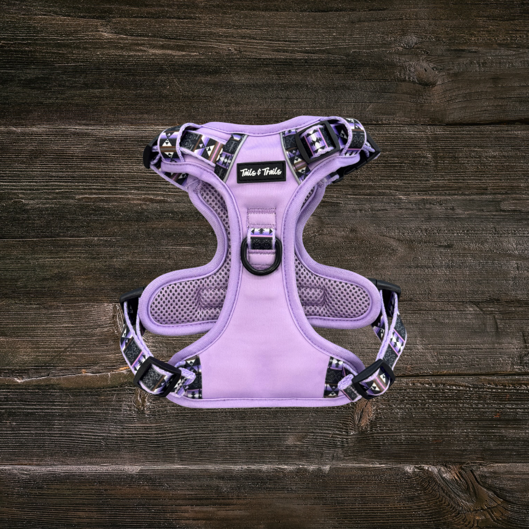 Wolfpack Adventure Harness