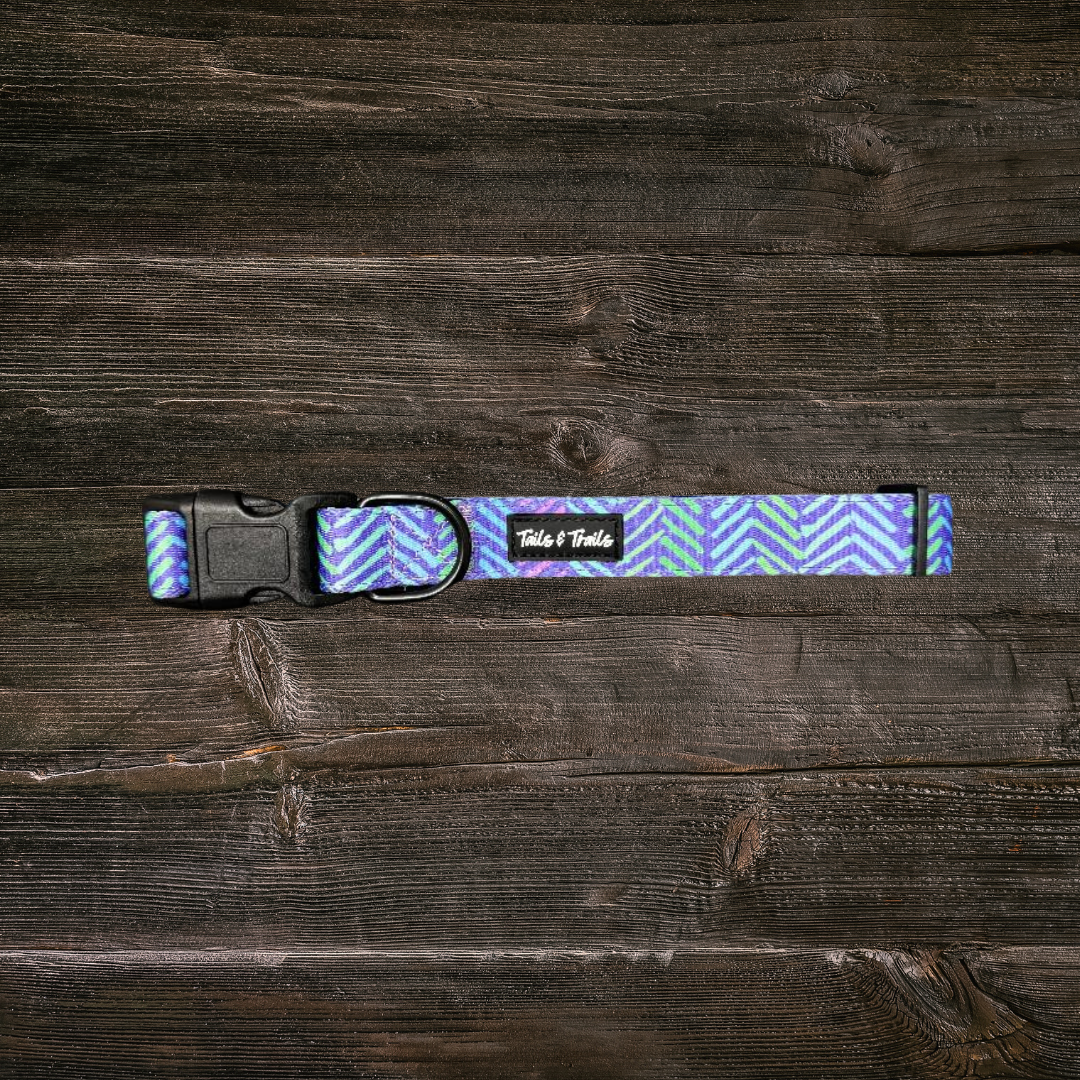 New Moon Trail Collar