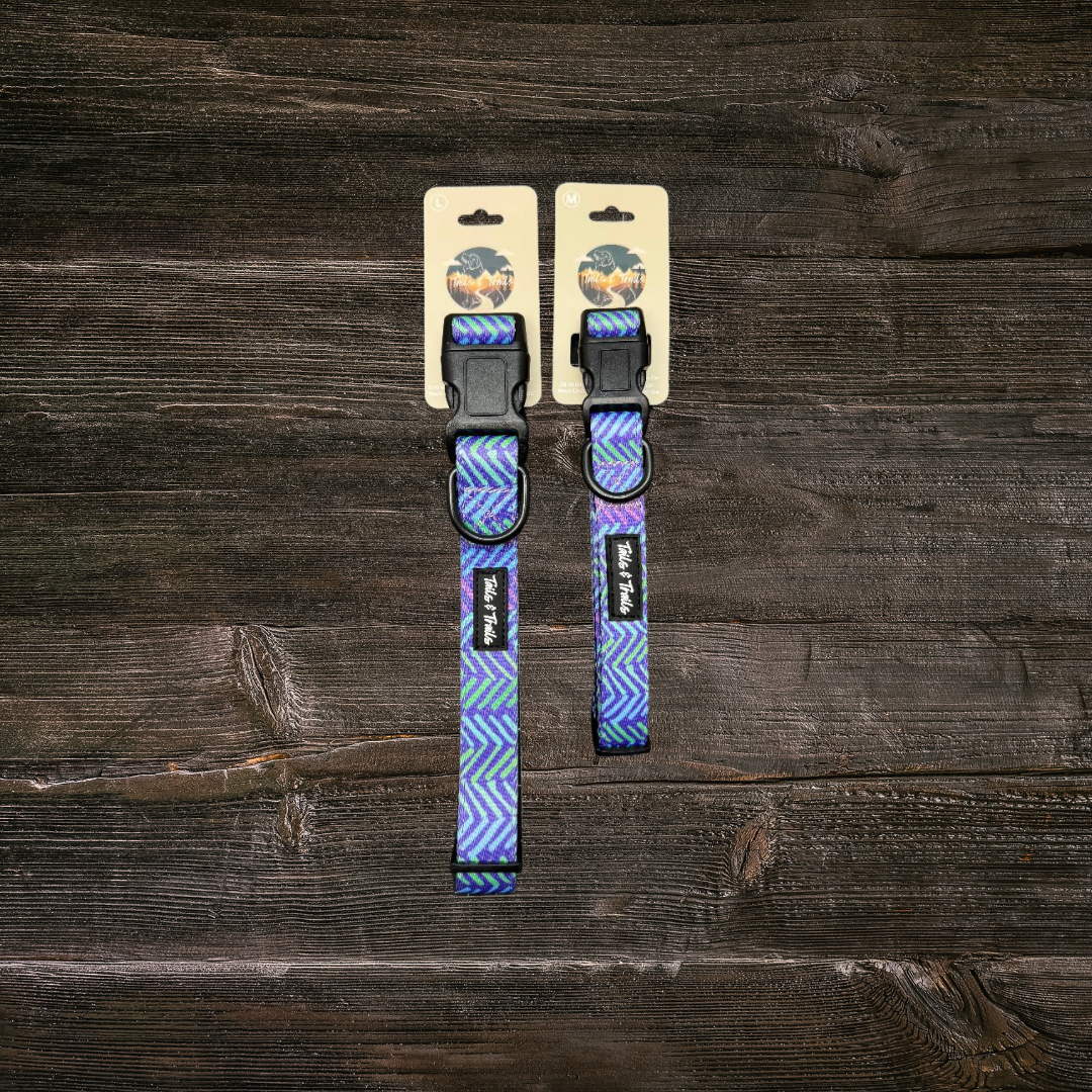 New Moon Trail Collar