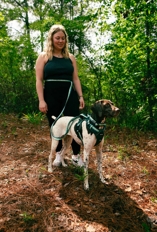 Forrest Hands Free Leash