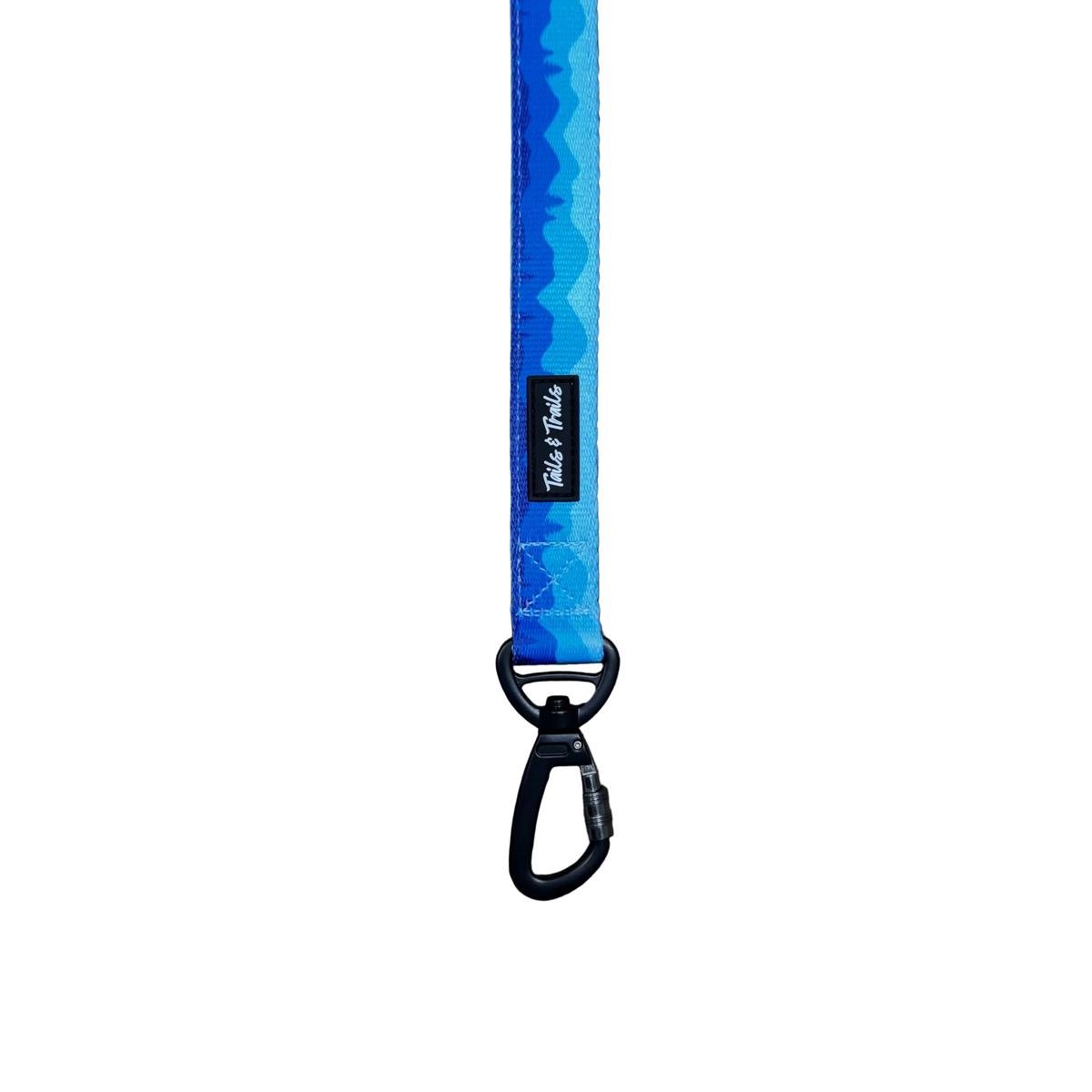 Double Handle Glacier Trail Leash
