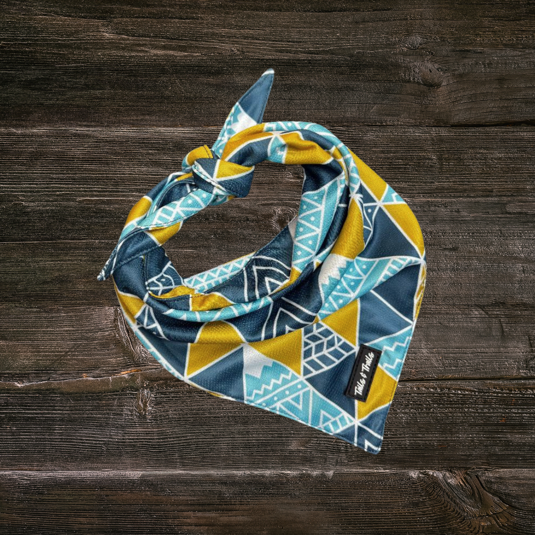 Appalachian Cooling Bandana