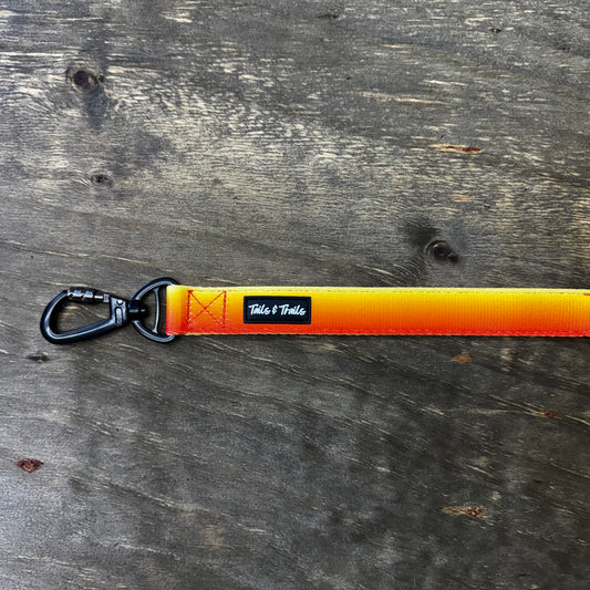 Double Handle Sunset Trail Leash