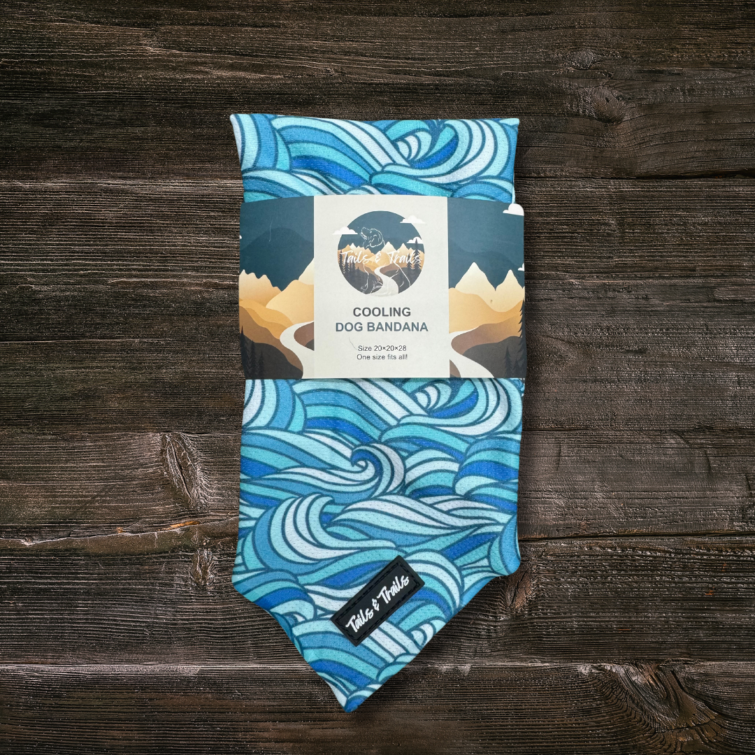 Riptide Bandana