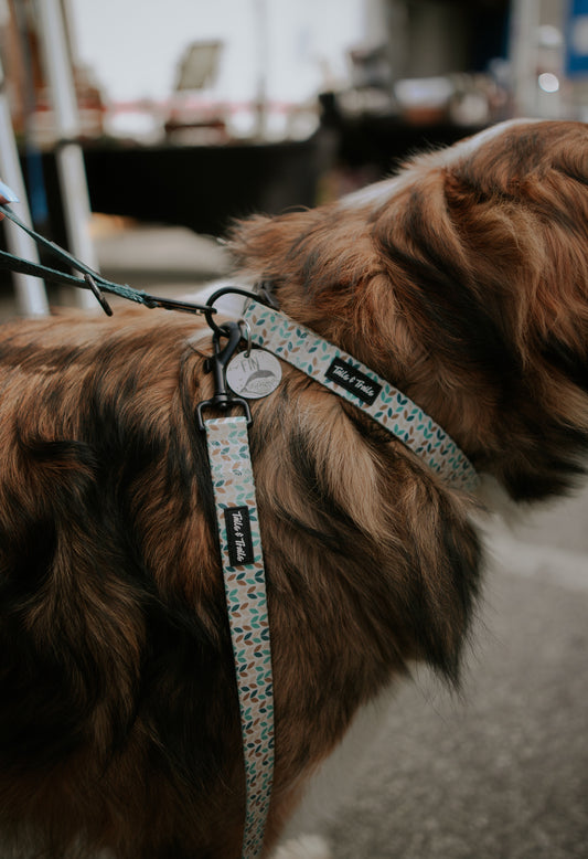 Blooming Trail Collar
