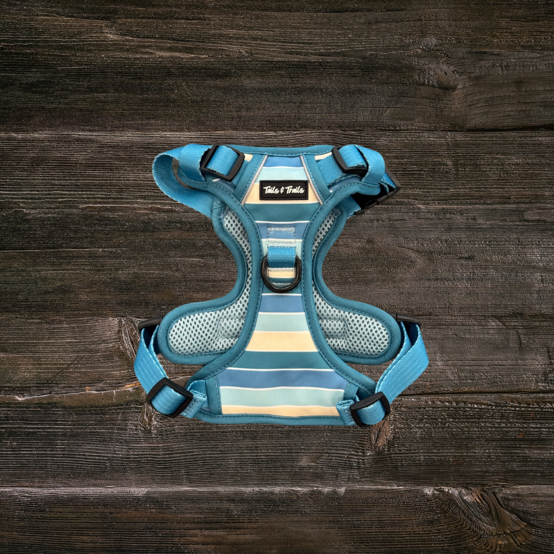 Tide Break Adventure Harness