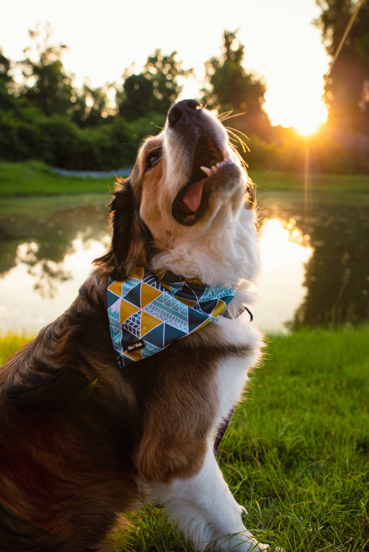 Appalachian Cooling Bandana