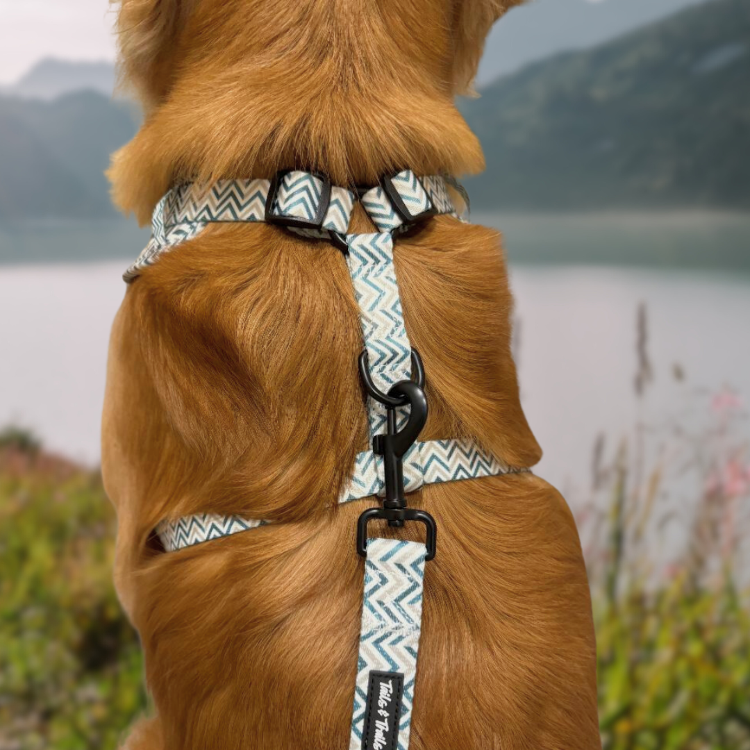 Mountain Ridge Pull Over Trail Harness
