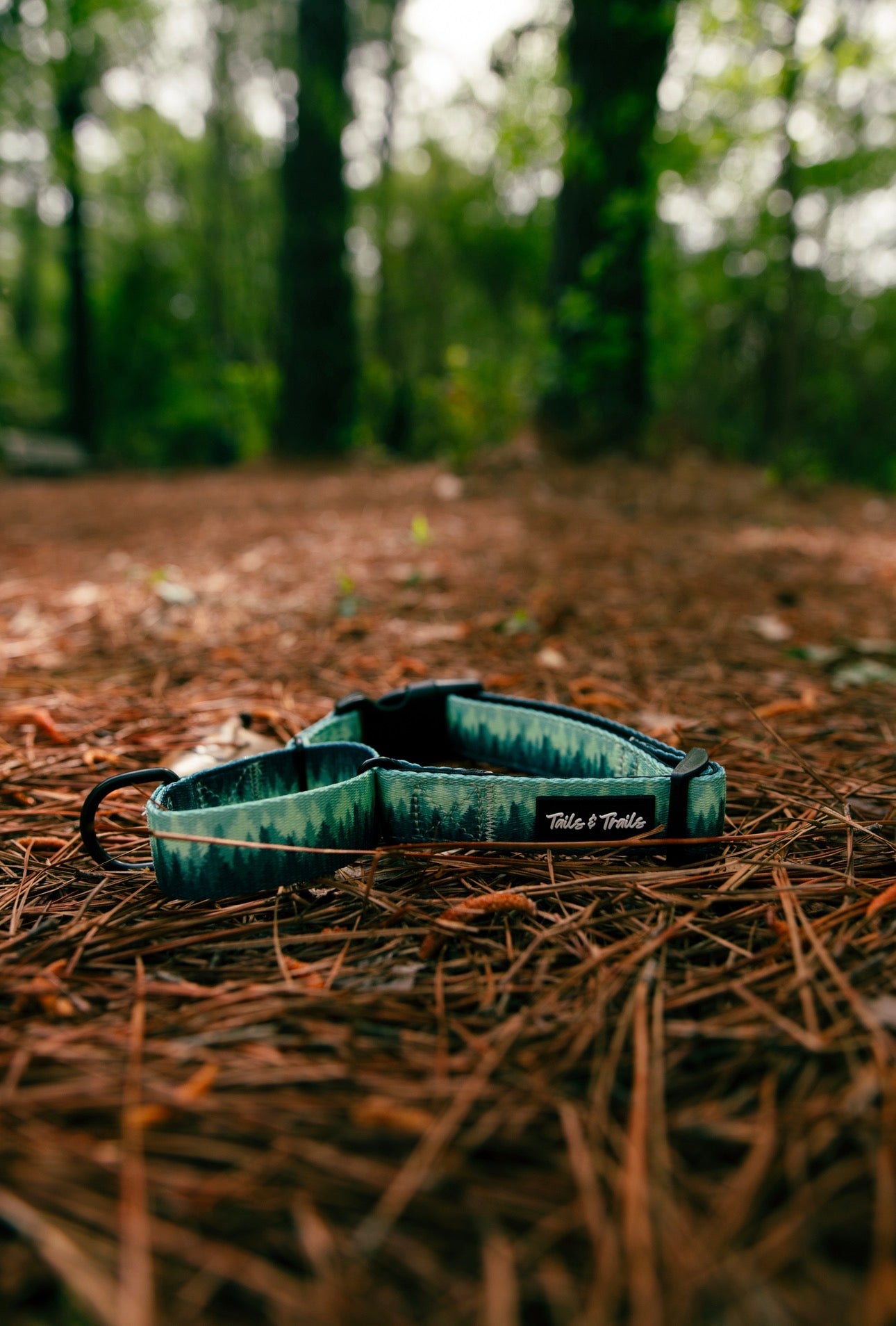 Martingale Forrest Collar