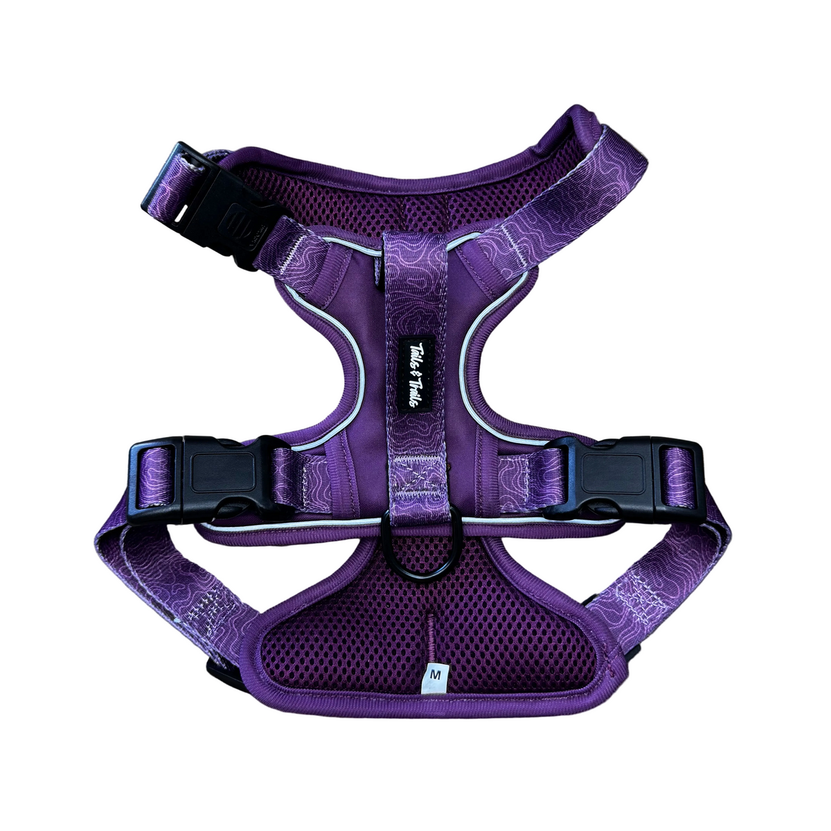 Elderberry Adventure Harness