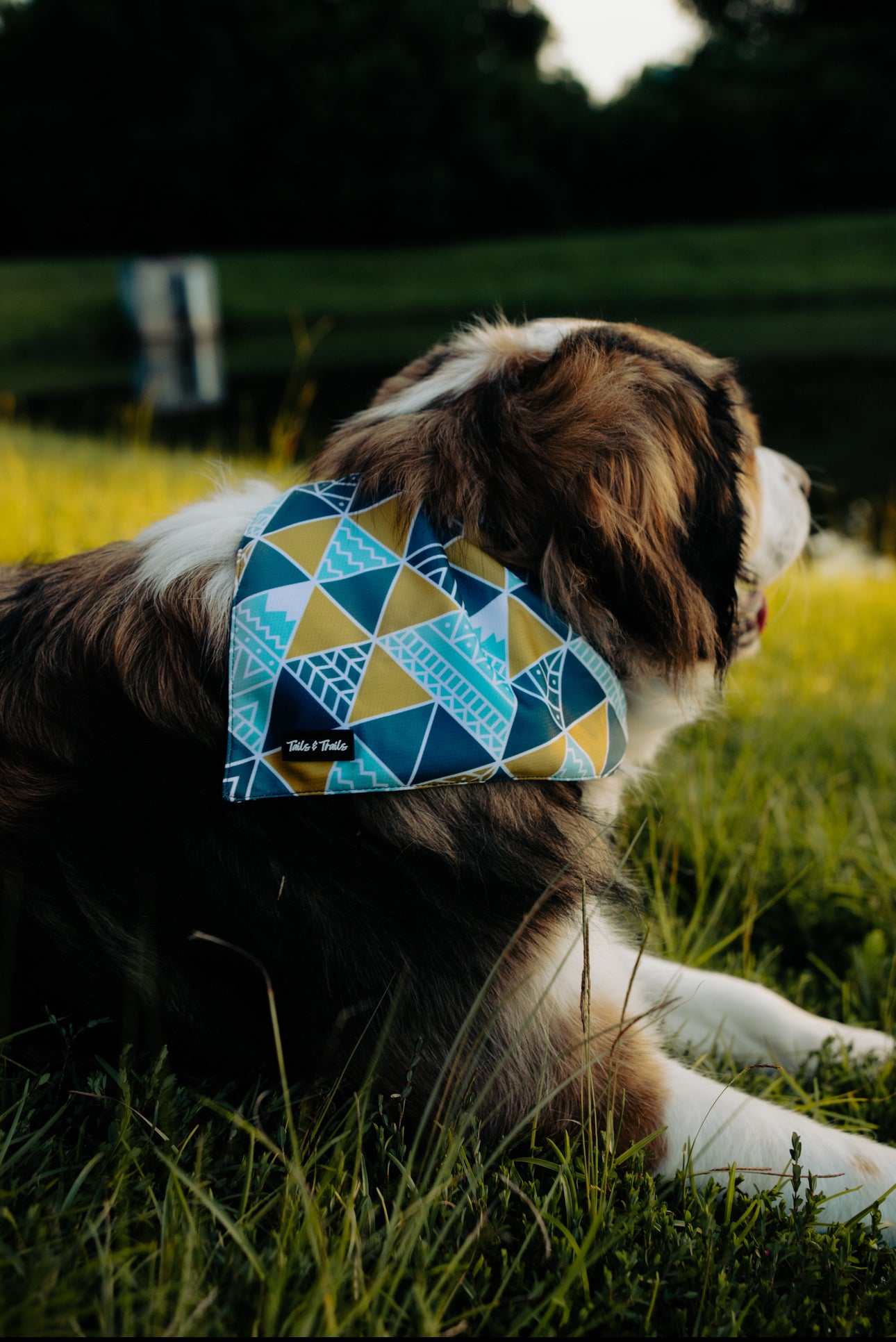 Appalachian Cooling Bandana