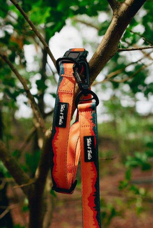 Sahara Trail Collar