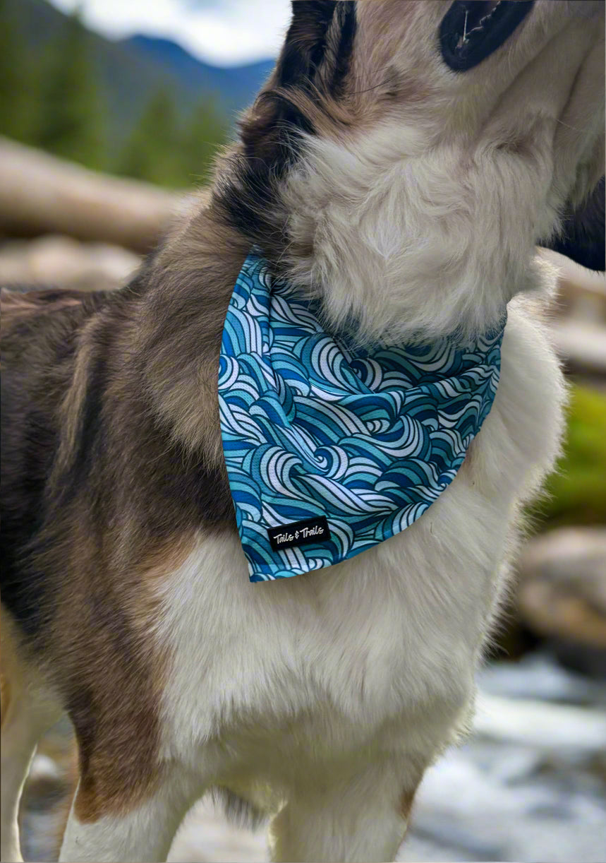 Riptide Bandana