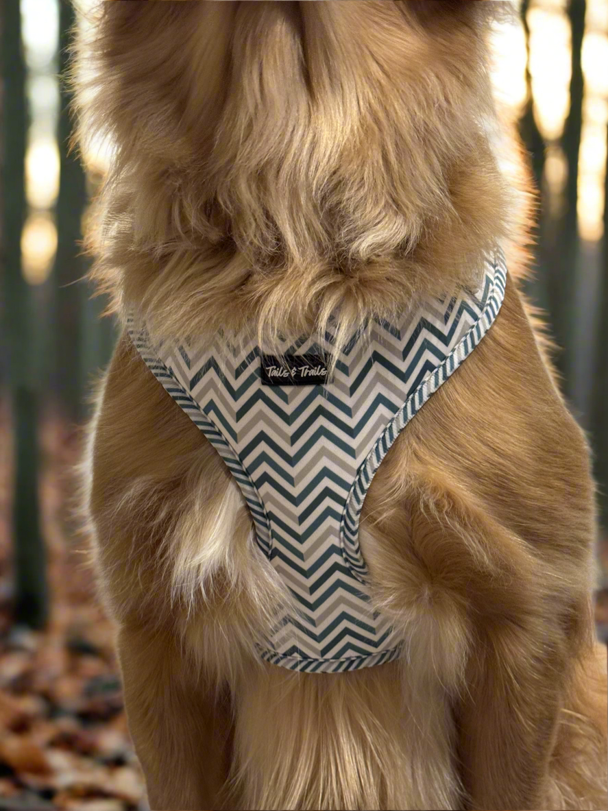 Mountain Ridge Pull Over Trail Harness