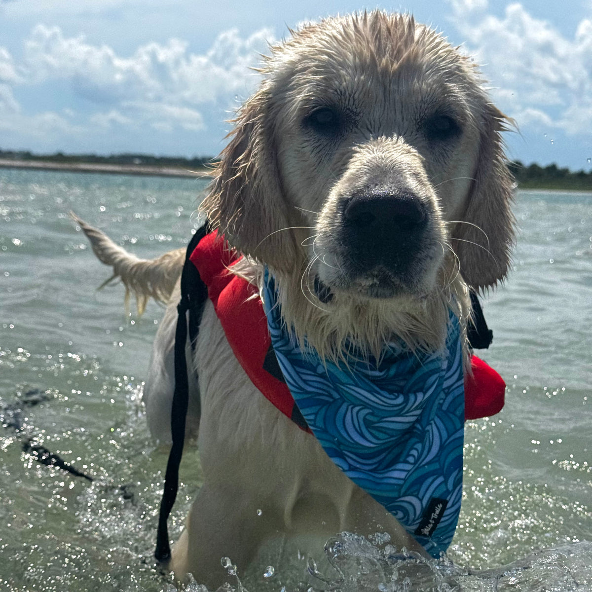 Riptide Bandana