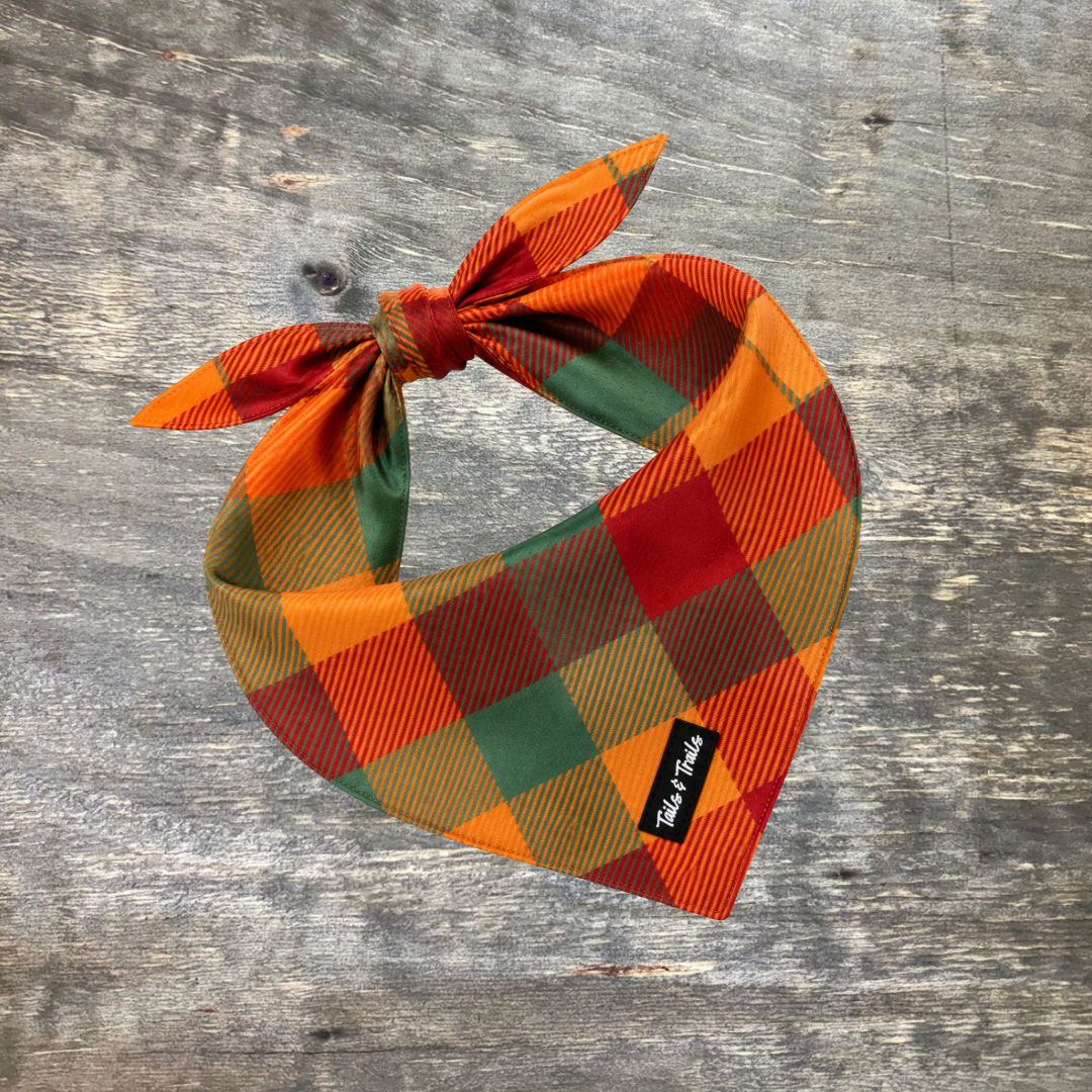Fall Flannel Bandana -PRE ORDER