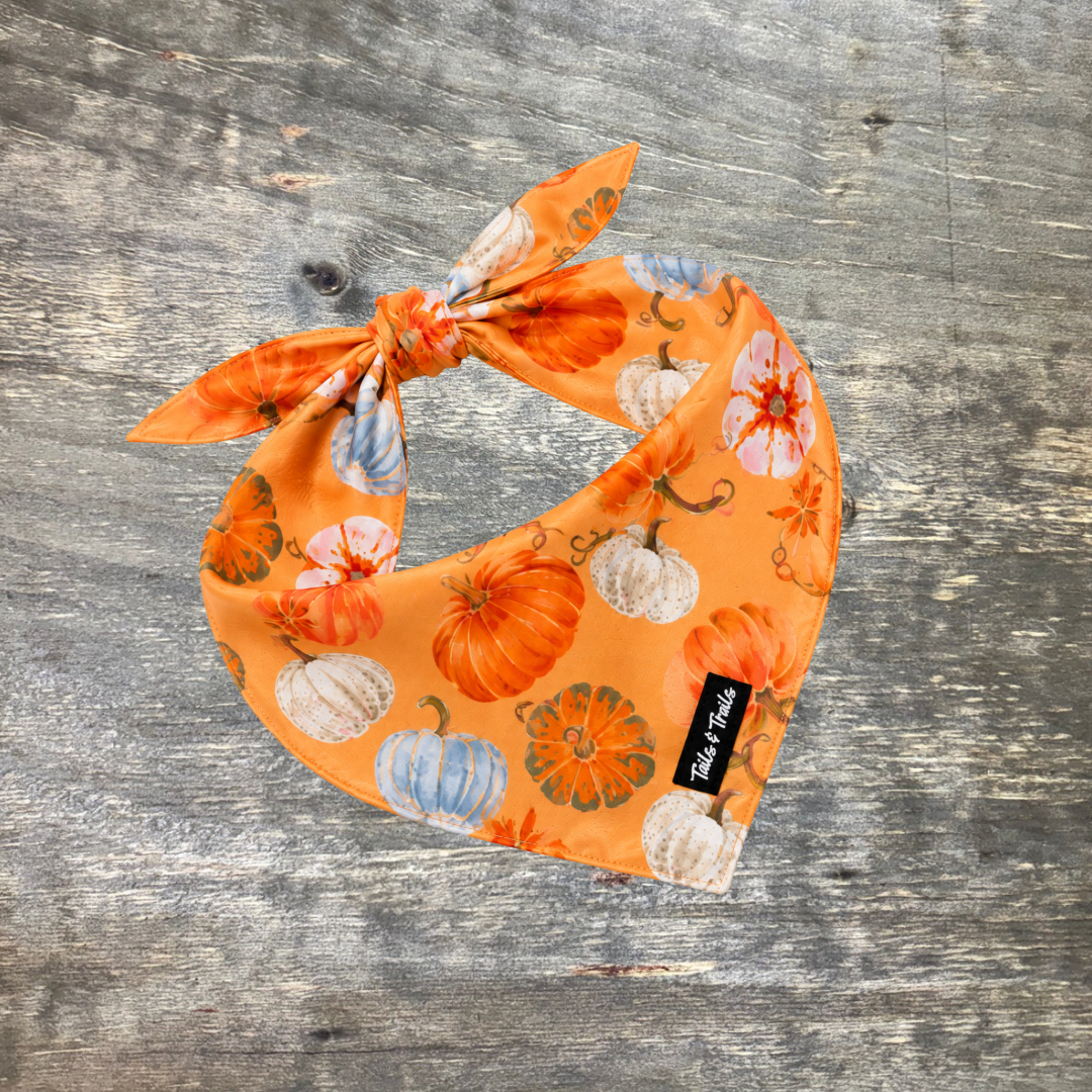 Pumpkin Patch Bandana -PRE ORDER