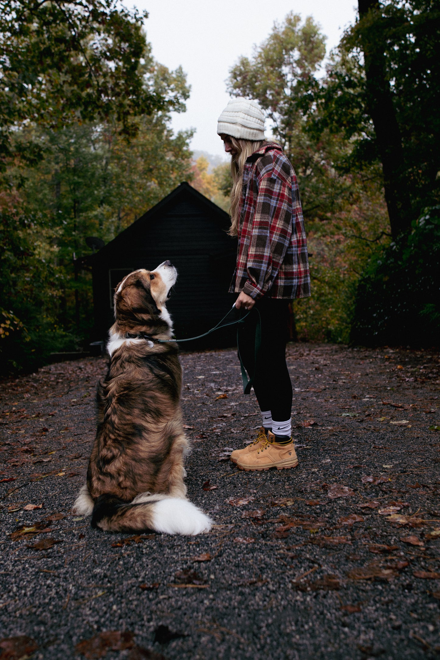 Double Handle Cedar Trail Leash