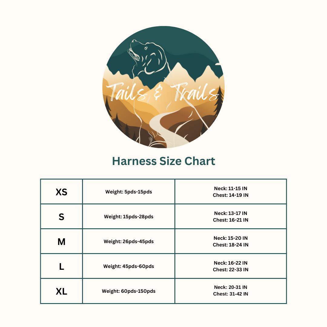 Tide Break Adventure Harness