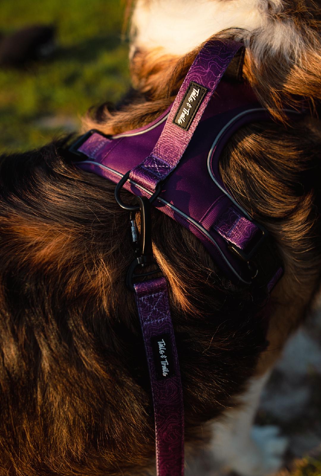 Double Handle Elderberry Trail Leash
