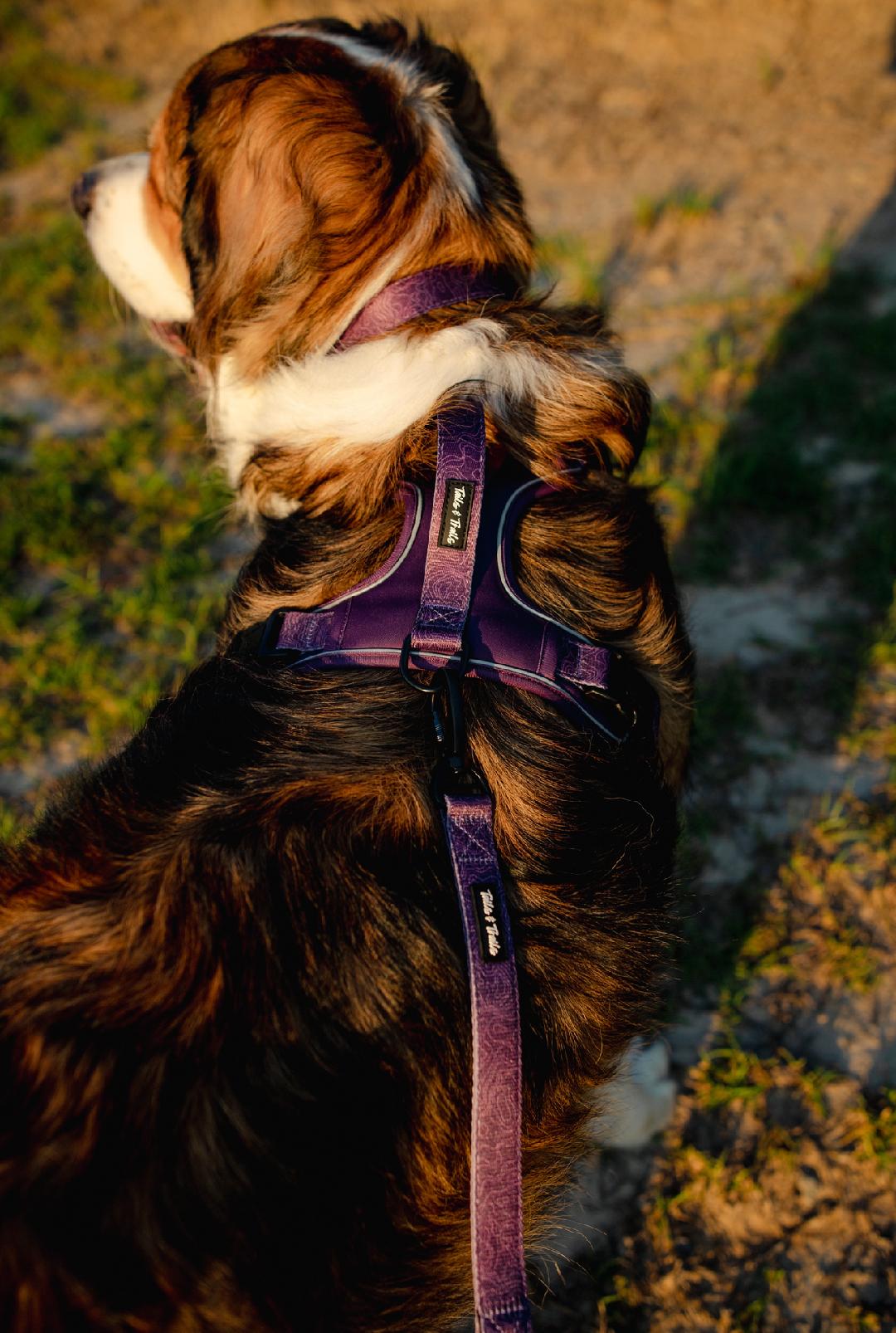 Double Handle Elderberry Trail Leash
