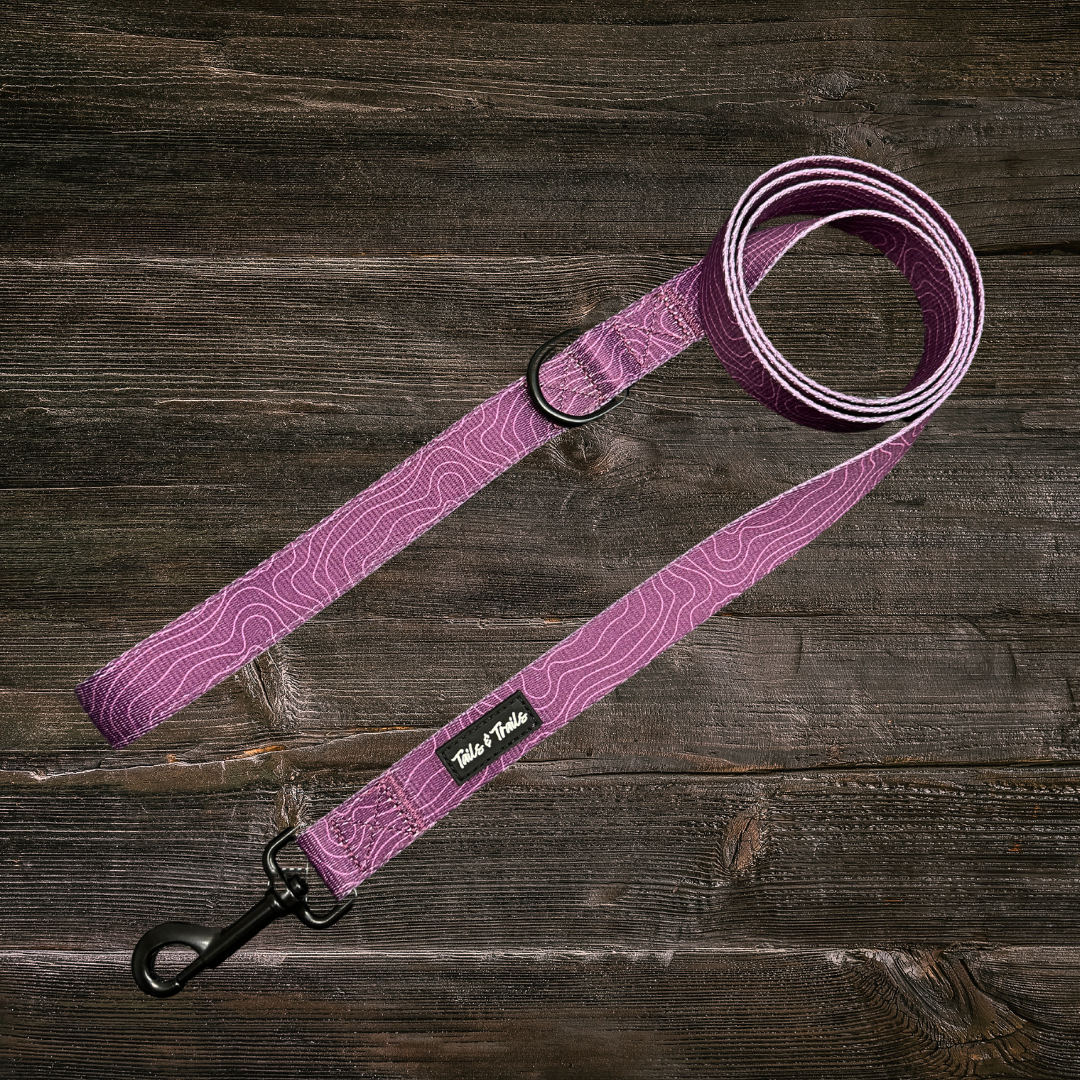 Elderberry Trail Leash