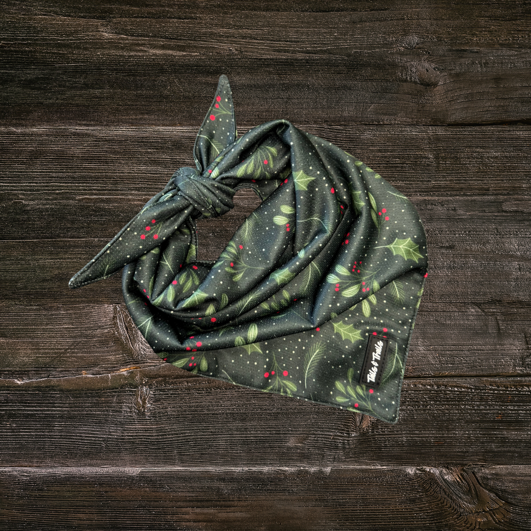 Holly Bandana