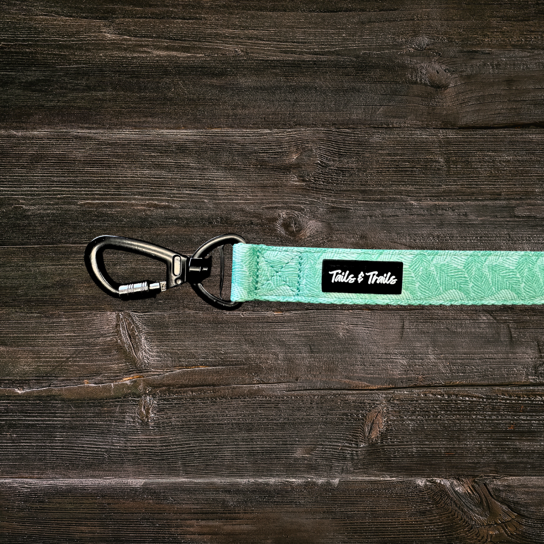 Double Handle Island Trail Leash