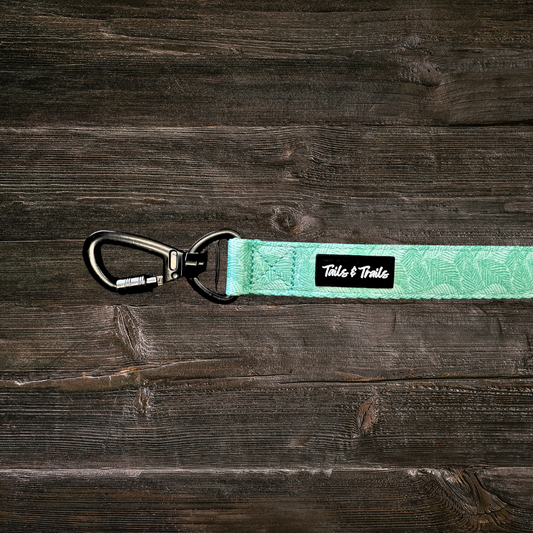 Double Handle Island Trail Leash