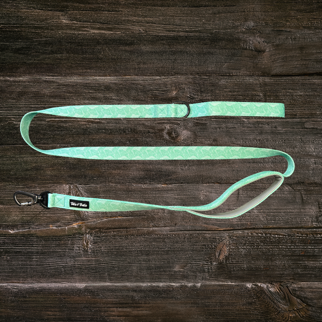 Double Handle Island Trail Leash