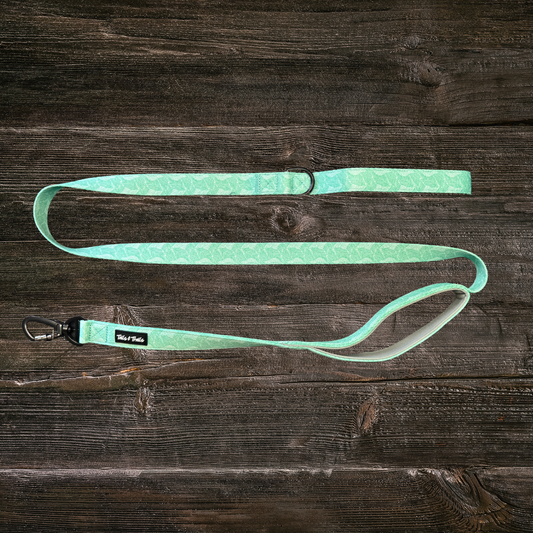 Double Handle Island Trail Leash