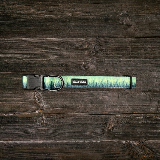 Forrest Trail Collar
