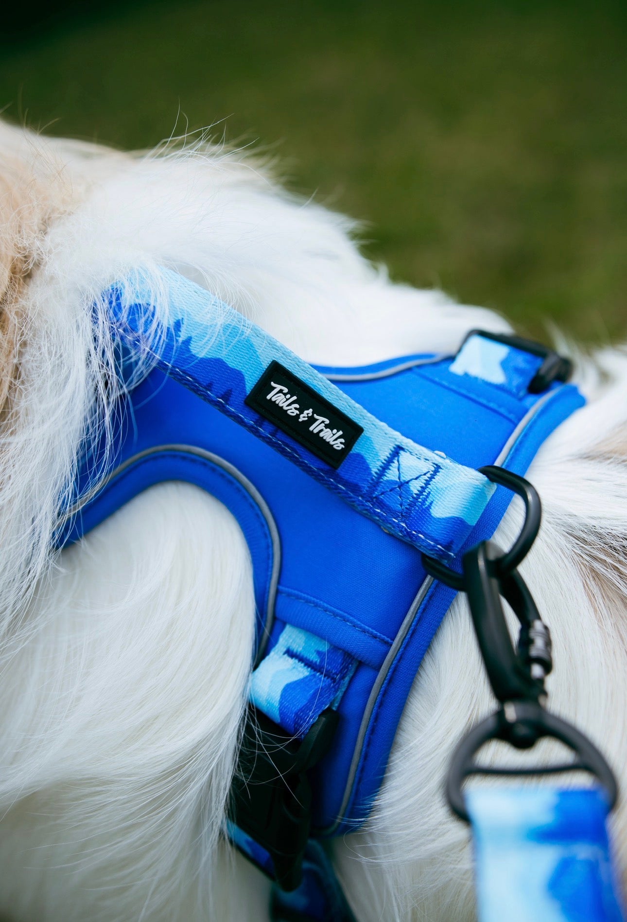 Glacier Adventure Harness
