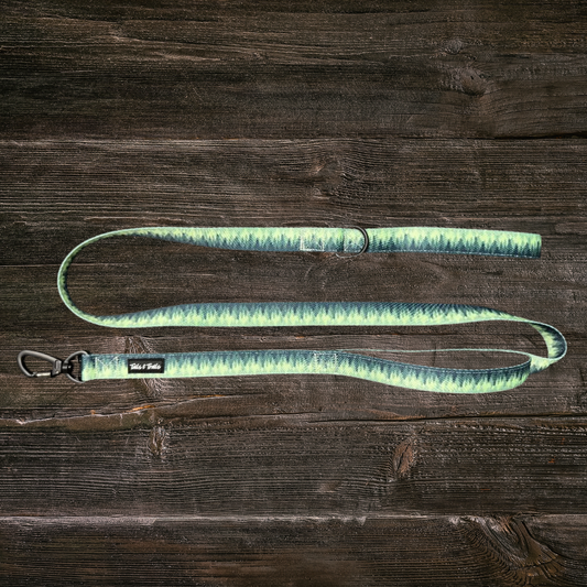 Double Handle Forrest Trail Leash