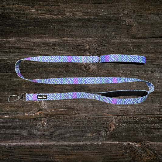 Double Handle New Moon Trail Leash