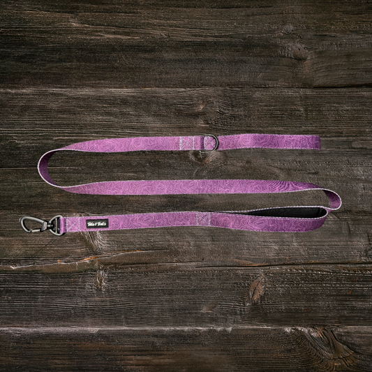 Double Handle Elderberry Trail Leash