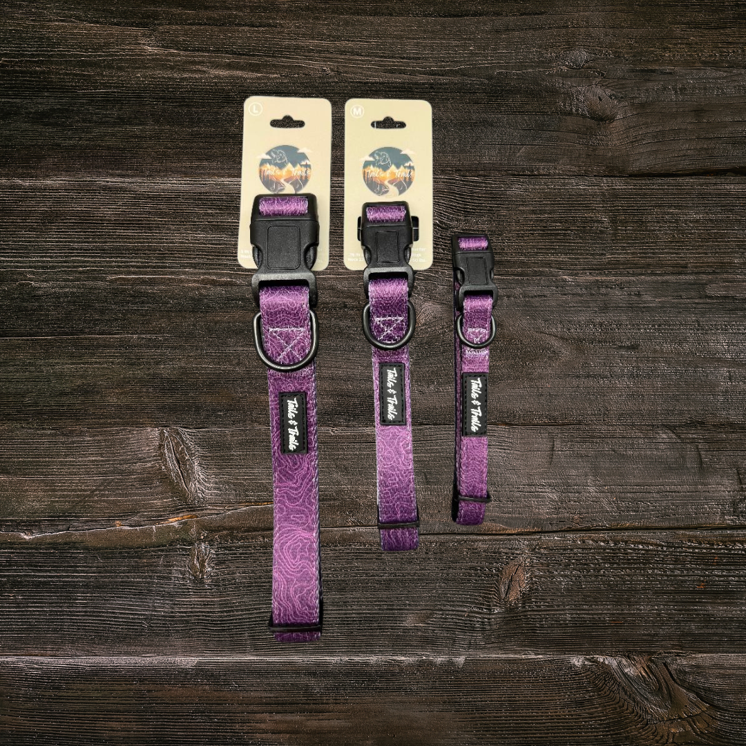 Elderberry Trail Collar