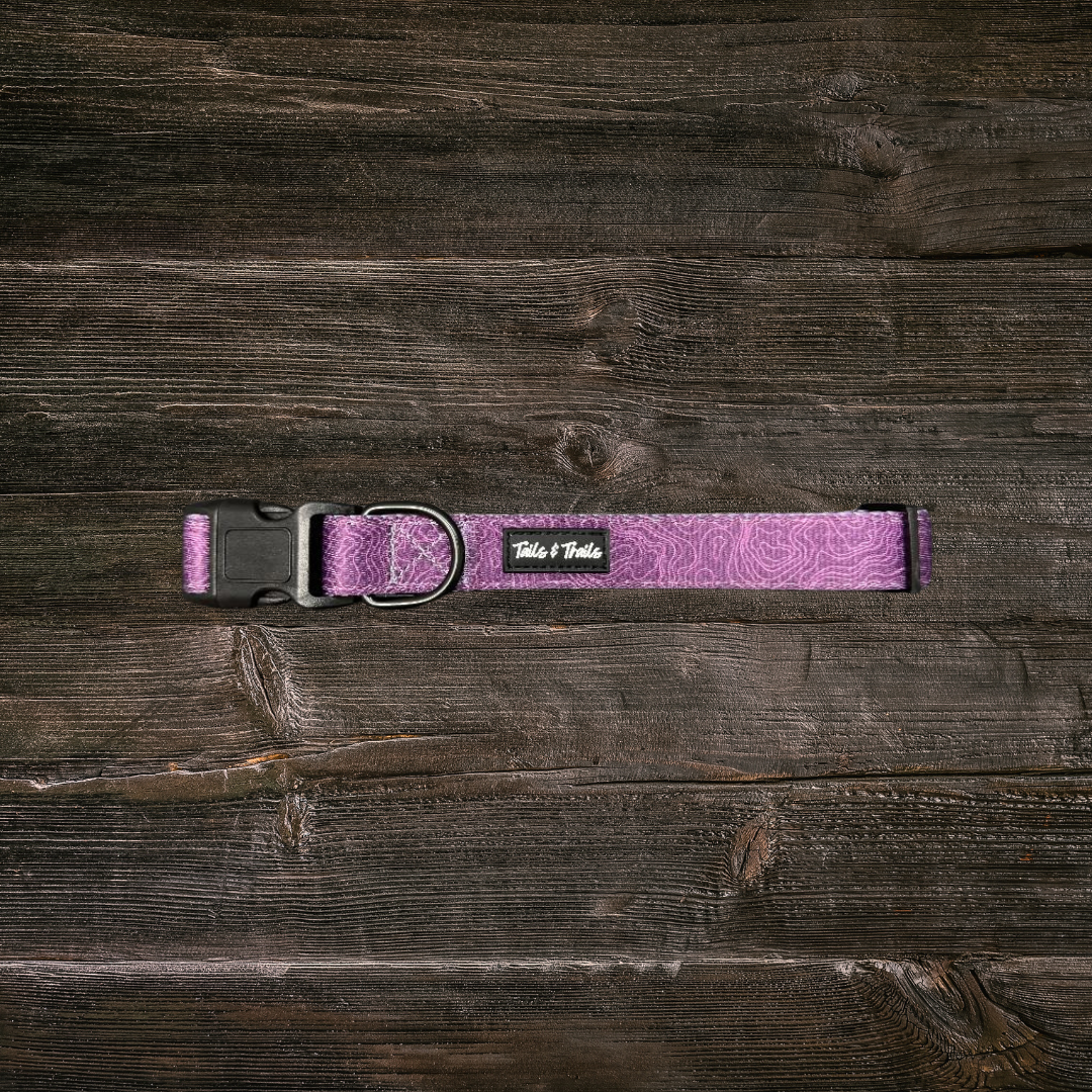 Elderberry Trail Collar