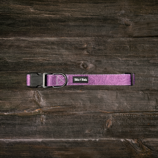 Elderberry Trail Collar