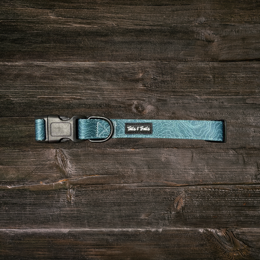 Evergreen Trail Collar