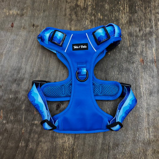 Glacier Adventure Harness