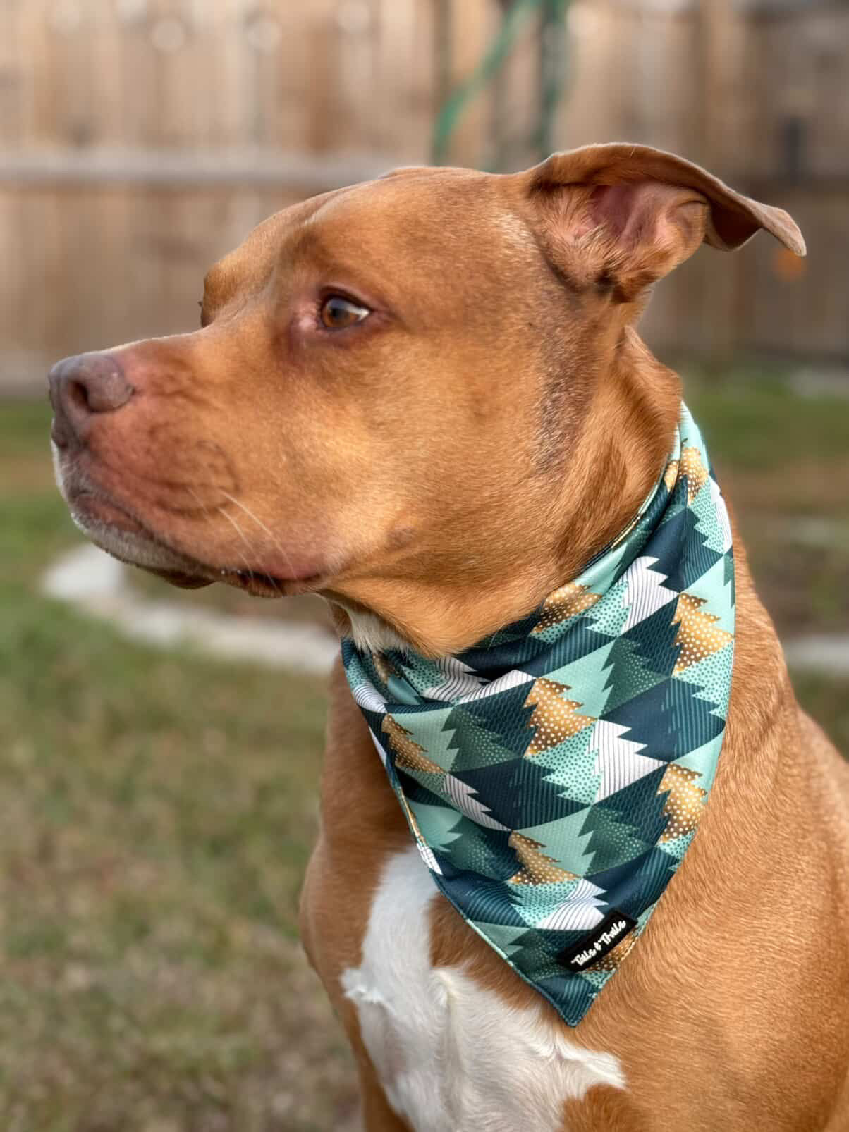 Under the Tree Bandana