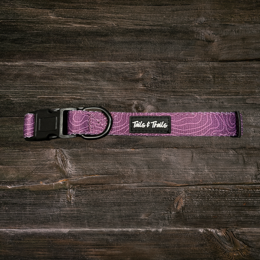 Elderberry Trail Collar